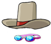 cowboy hat and goggles