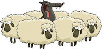 wolf among sheep